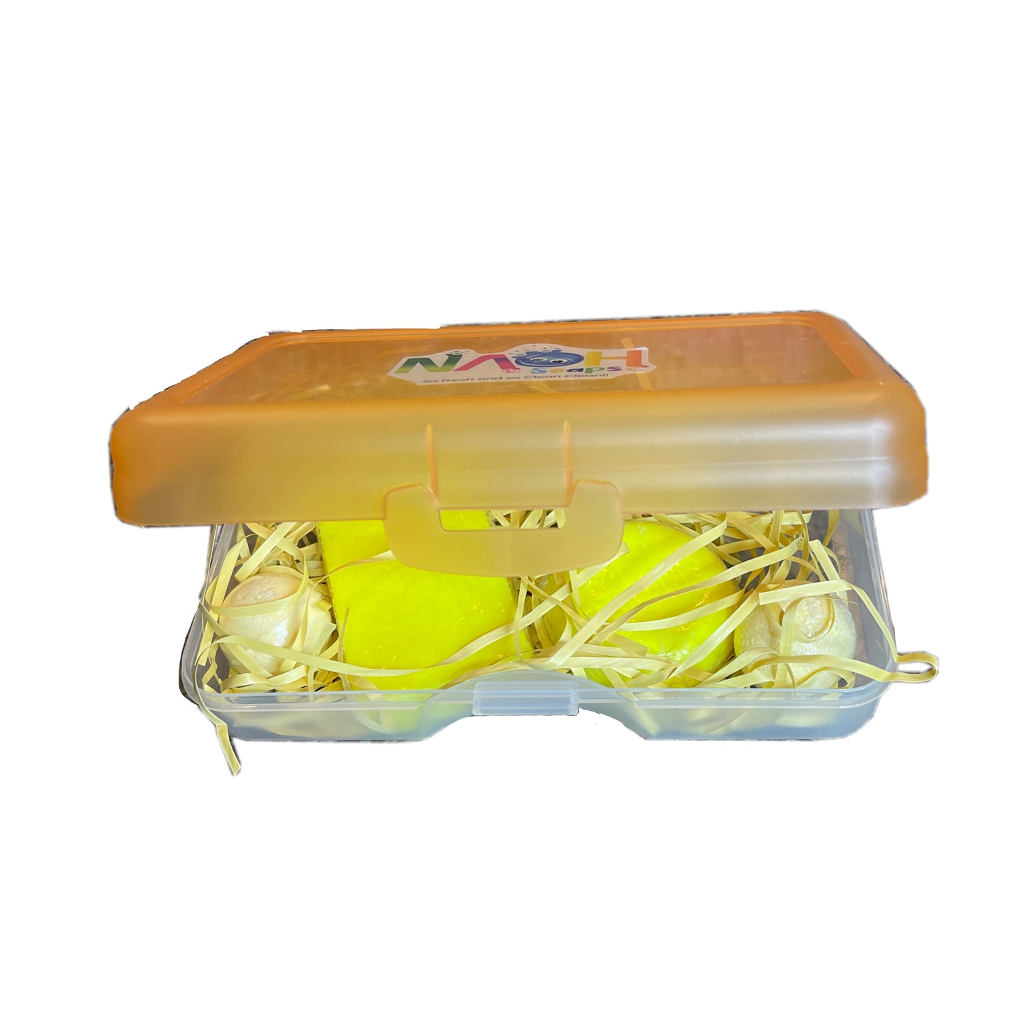 SOAP IN A CASE